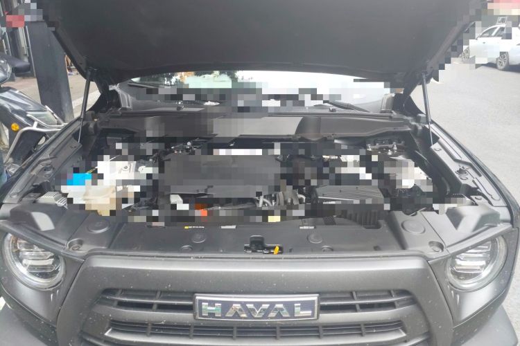 Used Haval DARGO 2024 2.0T DCT Chinese Rural Dog Edition Engine Bay
