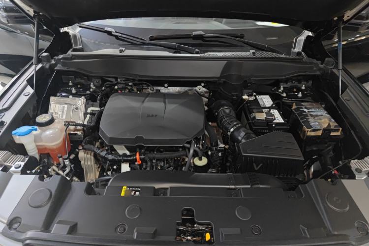 Used Haval DARGO 2024 2.0T DCT Chinese Rural Dog Edition Engine Bay