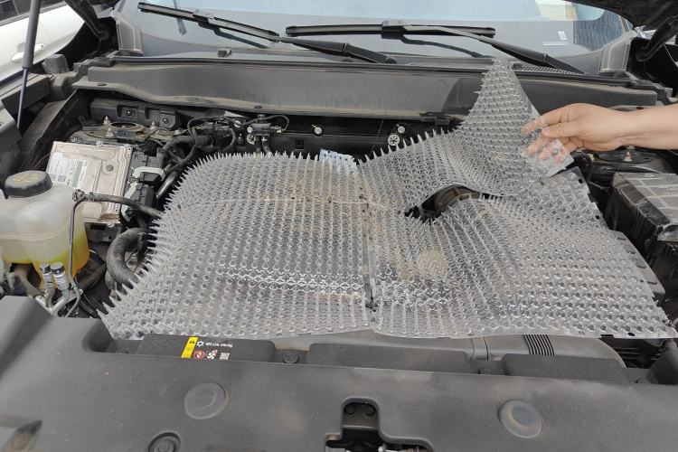 Used Haval DARGO 2024 1.5T DCT Border Collie Edition Engine Bay