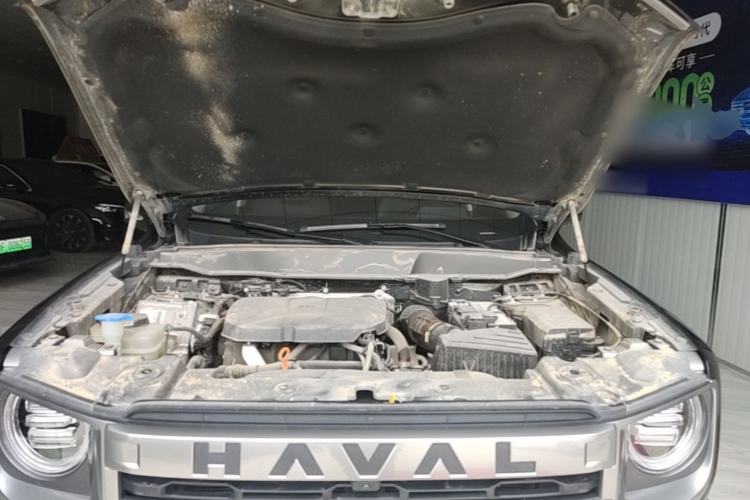 Used Haval DARGO 2024 2.0T DCT Chinese Rural Dog Edition Engine Bay