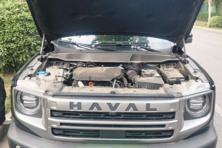 Used Haval DARGO 2024 2.0T DCT Chinese Rural Dog Edition Engine Bay