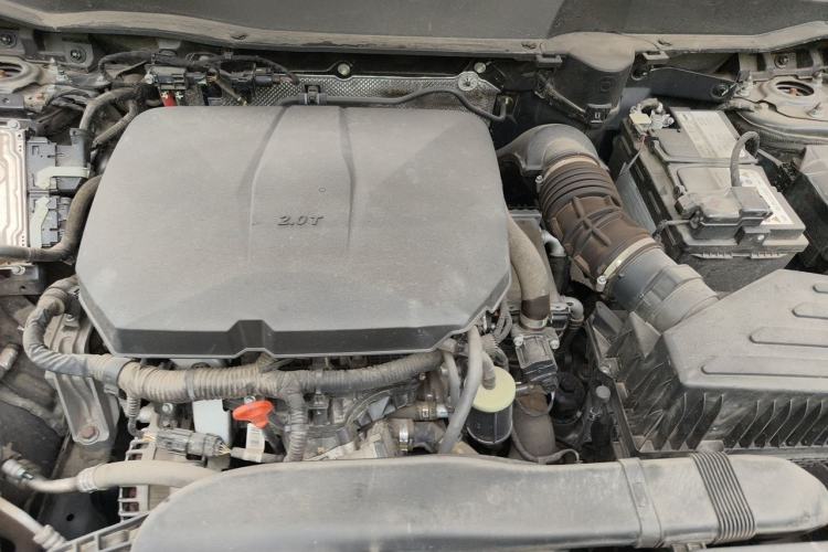 Used Haval DARGO 2024 2.0T DCT Chinese Rural Dog Edition Engine Bay