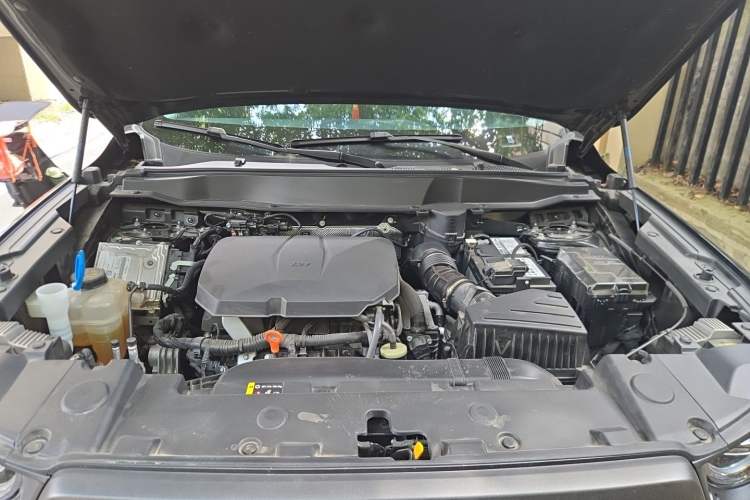 Used Haval DARGO 2024 2.0T DCT Chinese Rural Dog Edition Engine Bay