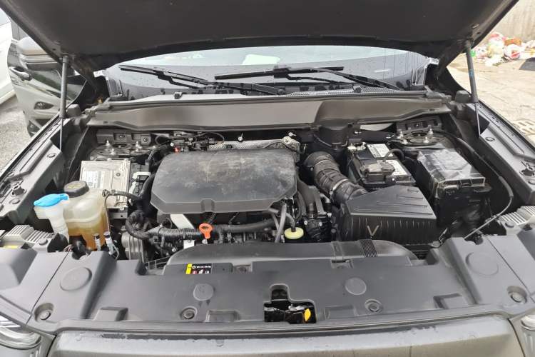 Used Haval DARGO 2024 2.0T DCT Chinese Rural Dog Edition Engine Bay