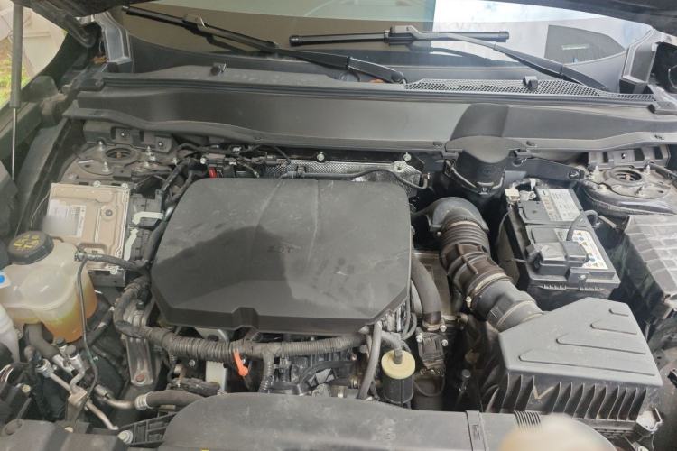 Used Haval DARGO 2024 2.0T DCT Chinese Rural Dog Edition Engine Bay