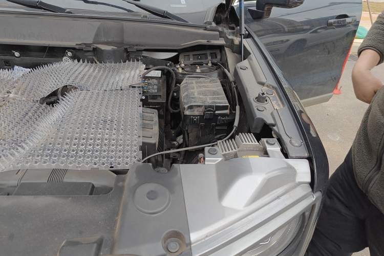 Used Haval DARGO 2024 1.5T DCT Border Collie Edition Engine Bay Left