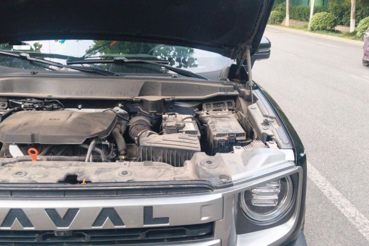 Used Haval DARGO 2024 2.0T DCT Chinese Rural Dog Edition Engine Bay Left