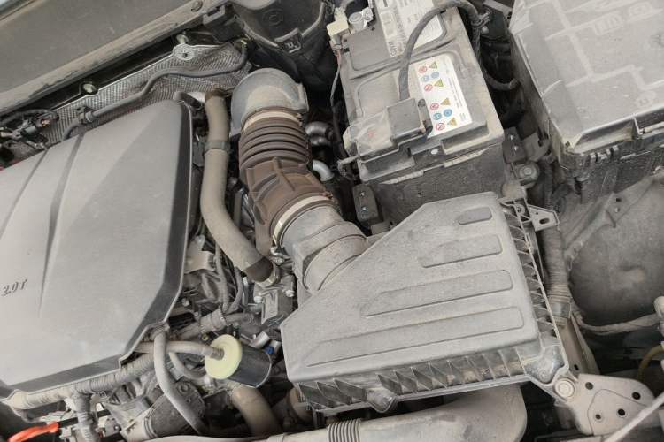 Used Haval DARGO 2024 2.0T DCT Chinese Rural Dog Edition Engine Bay Left