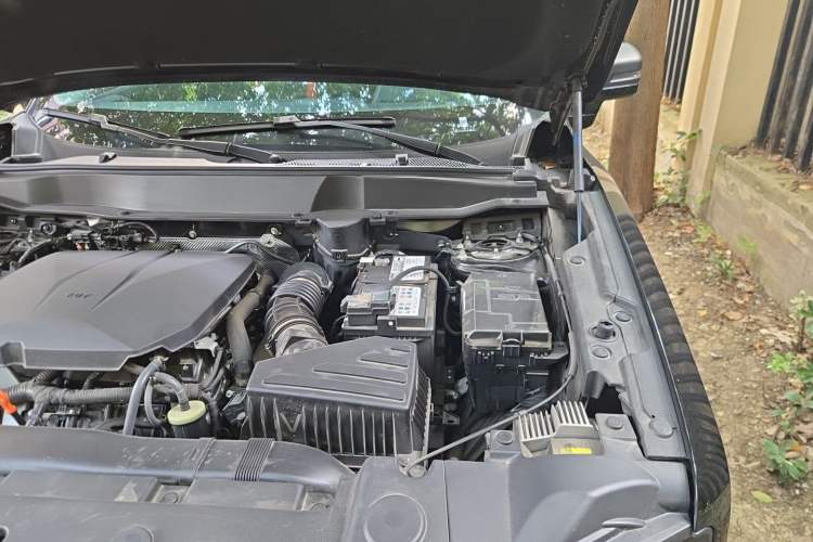 Used Haval DARGO 2024 2.0T DCT Chinese Rural Dog Edition Engine Bay Left