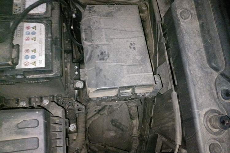 Used Haval DARGO 2024 2.0T DCT Chinese Rural Dog Edition Engine Bay Left