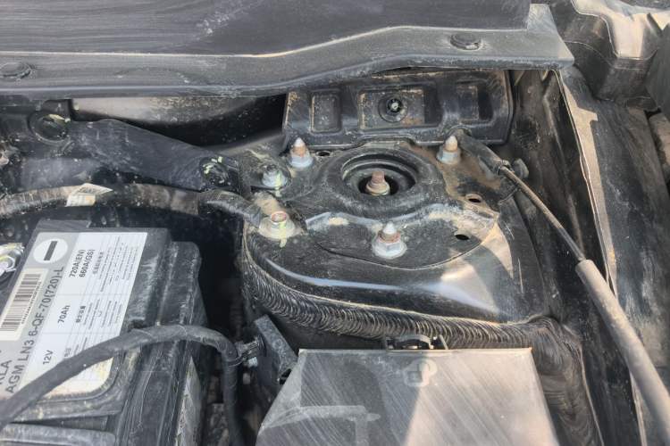 Used Haval DARGO 2024 2.0T DCT Chinese Rural Dog Edition Engine Bay Left