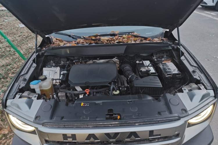 Used Haval DARGO 2024 2.0T DCT Chinese Rural Dog Edition Engine Bay