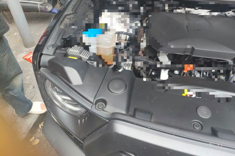 Used Haval DARGO 2024 2.0T DCT Chinese Rural Dog Edition Engine Bay Right