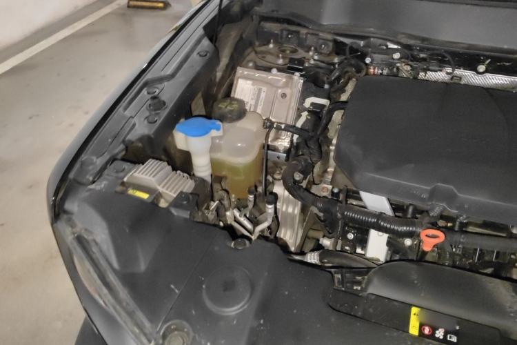 Used Haval DARGO 2024 2.0T DCT Chinese Rural Dog Edition Engine Bay Right