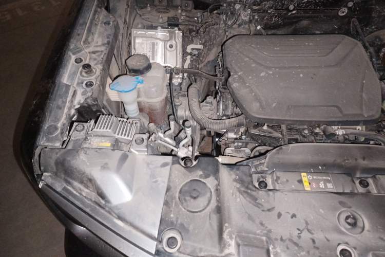Used Haval DARGO 2024 1.5T DCT Labrador Edition Engine Bay Right