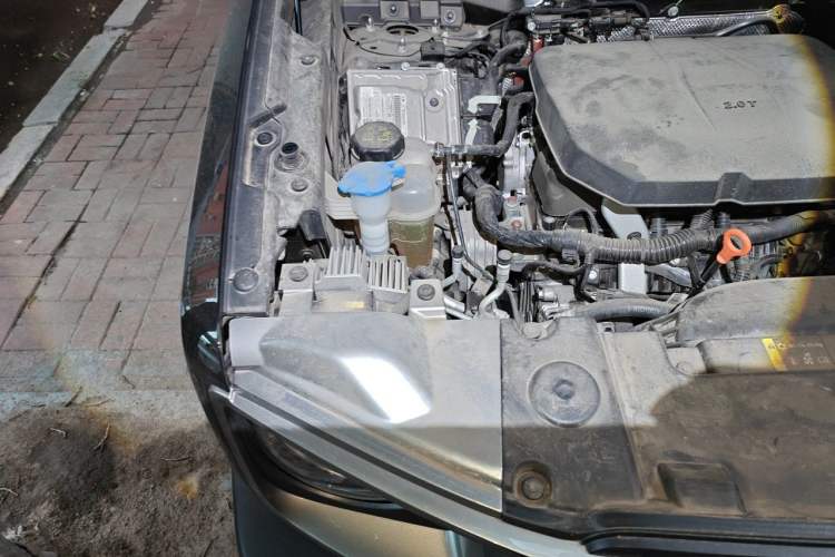 Used Haval DARGO 2024 2.0T DCT Chinese Rural Dog Edition Engine Bay Right