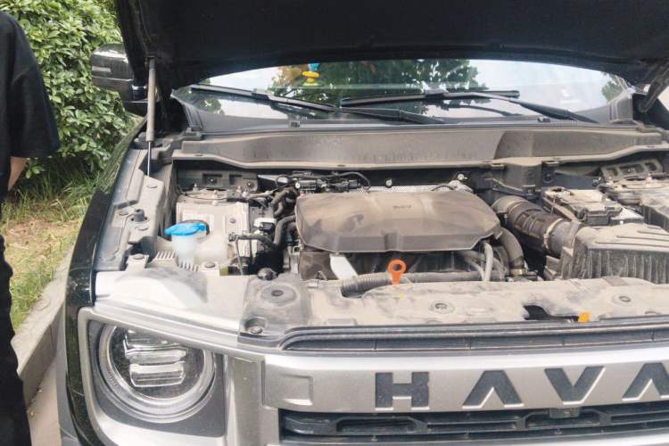 Used Haval DARGO 2024 2.0T DCT Chinese Rural Dog Edition Engine Bay Right