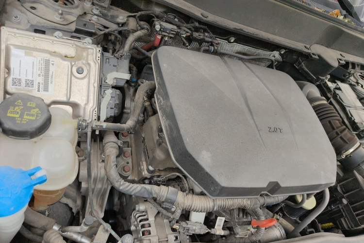 Used Haval DARGO 2024 2.0T DCT Chinese Rural Dog Edition Engine Bay Right