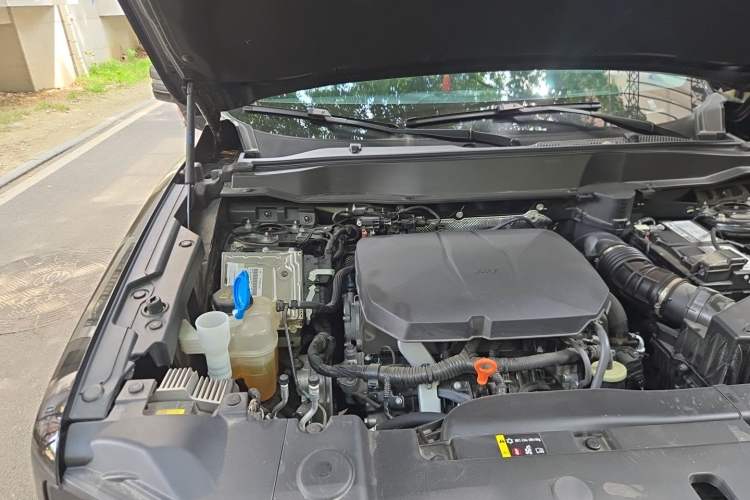 Used Haval DARGO 2024 2.0T DCT Chinese Rural Dog Edition Engine Bay Right