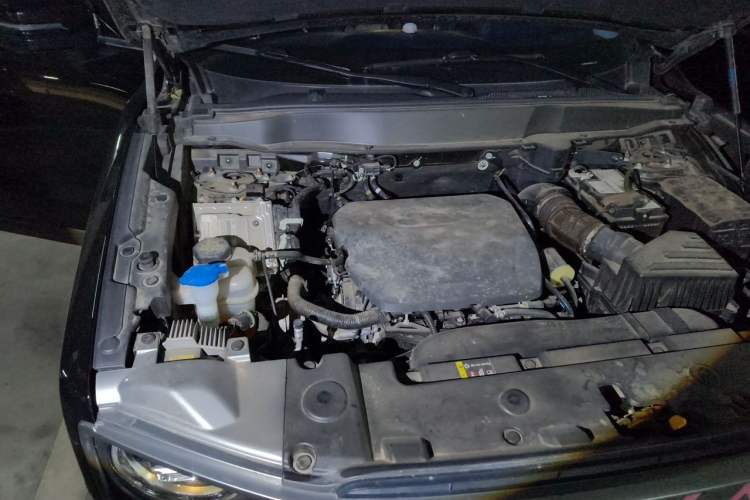 Used Haval DARGO 2024 1.5T DCT Border Collie Edition Engine Bay Right