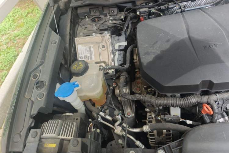 Used Haval DARGO 2024 2.0T DCT Chinese Rural Dog Edition Engine Bay Right