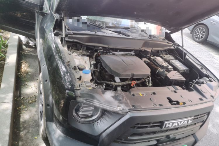 Used Haval DARGO 2024 2.0T DCT Chinese Rural Dog Edition Engine Bay Right