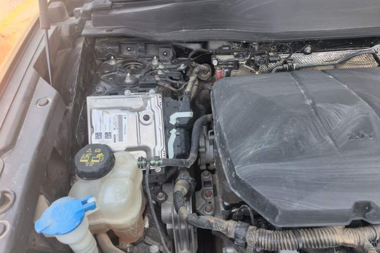 Used Haval DARGO 2024 2.0T DCT Chinese Rural Dog Edition Engine Bay Right