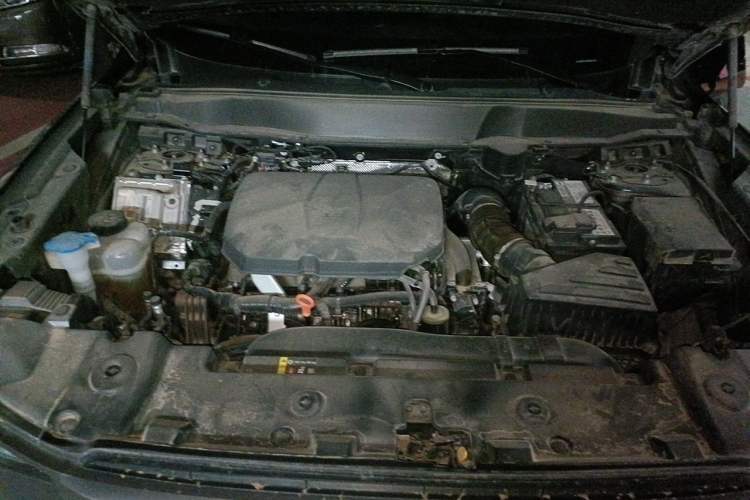 Used Haval DARGO 2024 2.0T DCT Chinese Rural Dog Edition Engine Bay