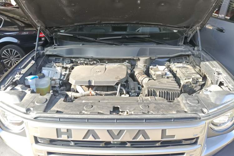 Used Haval DARGO 2024 2.0T DCT Chinese Rural Dog Edition Engine Bay