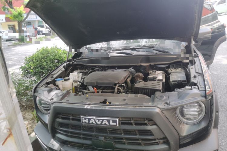 Used Haval DARGO 2024 2.0T DCT Chinese Rural Dog Edition Engine Bay
