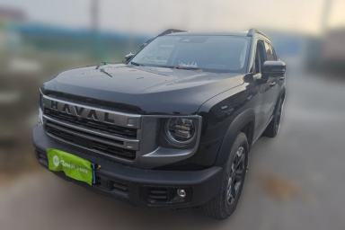 Used Haval DARGO 2024 2.0T DCT Chinese Rural Dog Edition