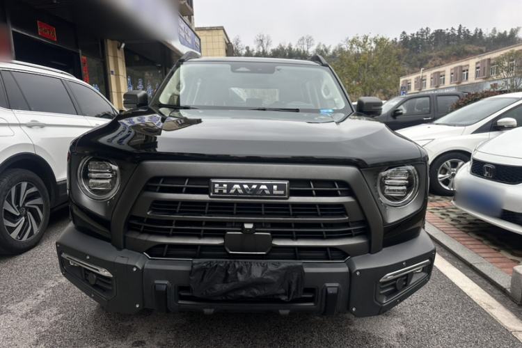 Used Haval DARGO 2024 2.0T DCT Chinese Rural Dog Edition Exterior 1