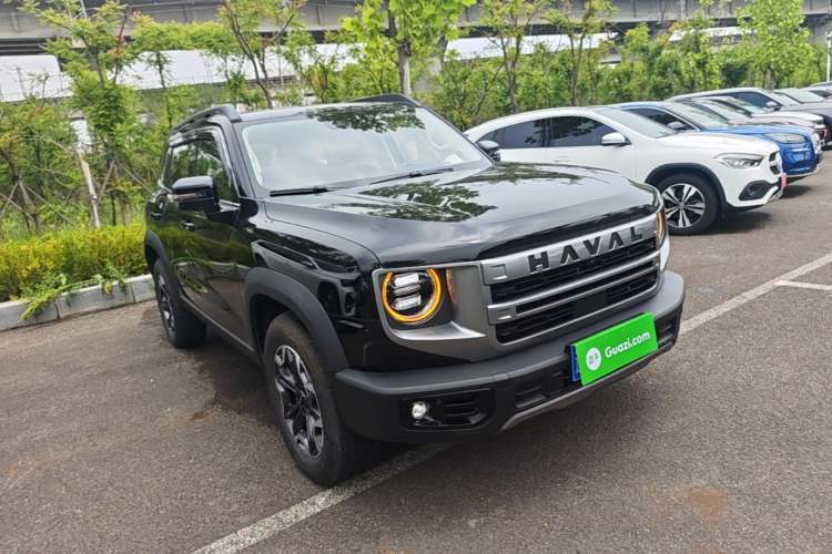 Used Haval DARGO 2024 2.0T DCT Chinese Rural Dog Edition Exterior 1