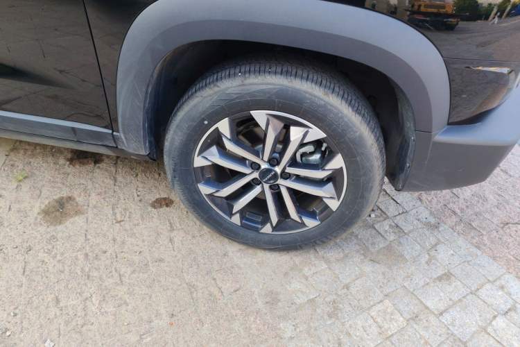 Used Haval DARGO 2024 1.5T DCT Border Collie Edition Exterior 1