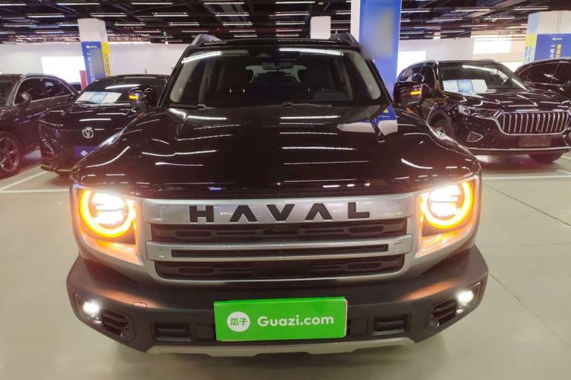 Used Haval DARGO 2024 1.5T DCT Border Collie Edition Exterior 1