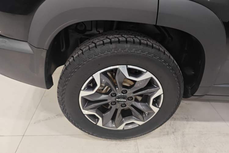 Used Haval DARGO 2024 2.0T DCT Chinese Rural Dog Edition Exterior 2