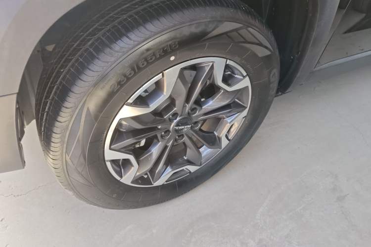 Used Haval DARGO 2024 2.0T DCT Chinese Rural Dog Edition Exterior 2
