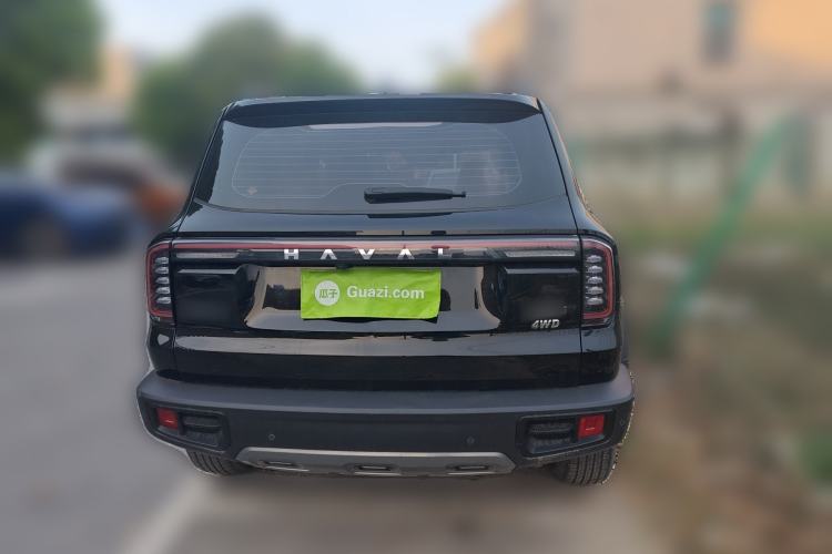 Used Haval DARGO 2024 2.0T DCT Chinese Rural Dog Edition Exterior 4