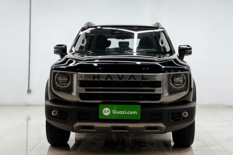 Used Haval DARGO 2024 2.0T DCT Chinese Rural Dog Edition Exterior 4