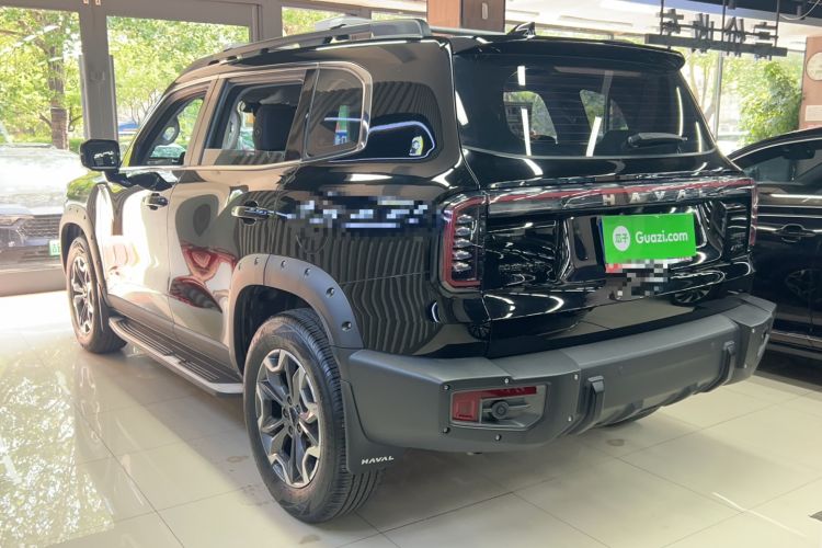 Used Haval DARGO 2024 2.0T DCT Chinese Rural Dog Edition Exterior 5