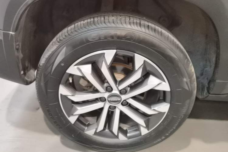 Used Haval DARGO 2024 1.5T DCT Border Collie Edition Exterior 5
