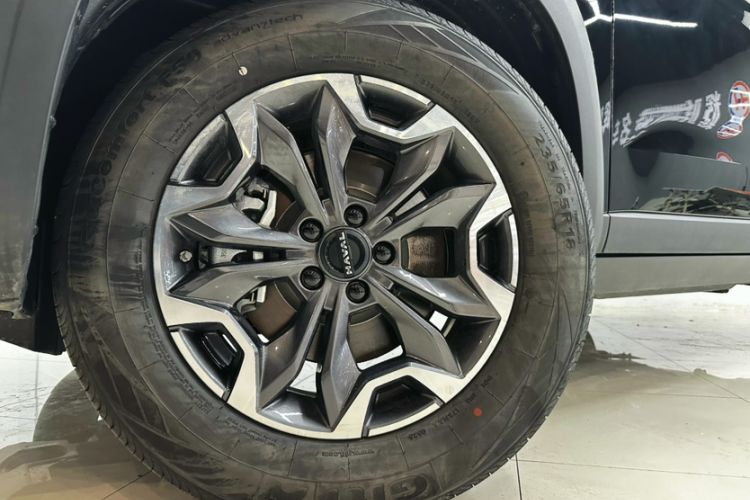 Used Haval DARGO 2024 2.0T DCT Chinese Rural Dog Edition Exterior 5