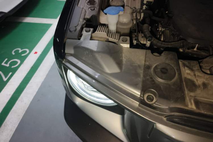 Used Haval DARGO 2024 1.5T DCT Border Collie Edition Exterior 6