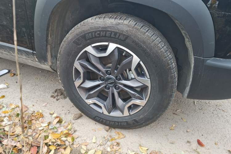 Used Haval DARGO 2024 2.0T DCT Chinese Rural Dog Edition Exterior 7