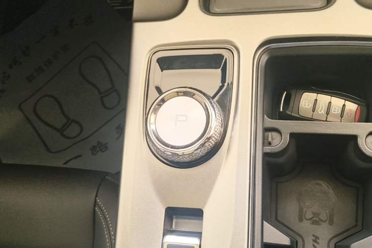 Used Haval DARGO 2024 1.5T DCT Labrador Edition Gear Lever
