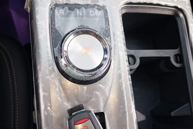 Used Haval DARGO 2024 2.0T DCT Chinese Rural Dog Edition Gear Lever
