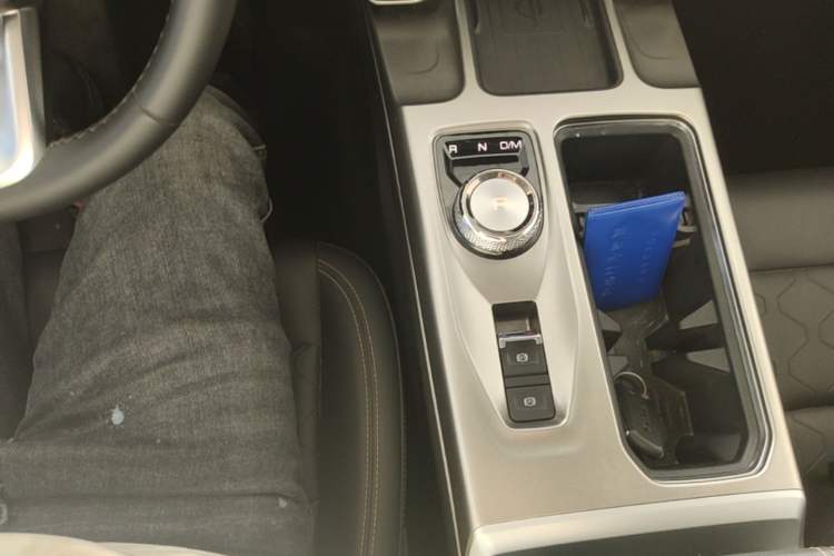Used Haval DARGO 2024 2.0T DCT Chinese Rural Dog Edition Gear Lever