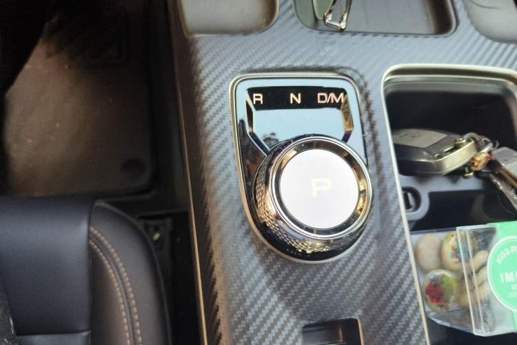 Used Haval DARGO 2024 1.5T DCT Labrador Edition Gear Lever