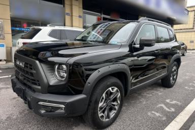 Used Haval DARGO 2024 2.0T DCT Chinese Rural Dog Edition