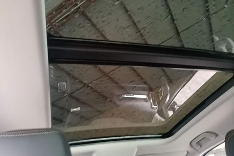 Used Haval DARGO 2024 1.5T DCT Border Collie Edition Headliner